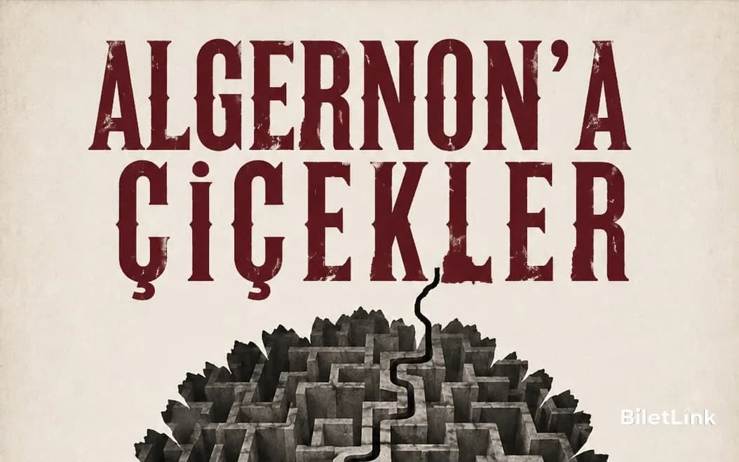 Algernon'a Çiçekler