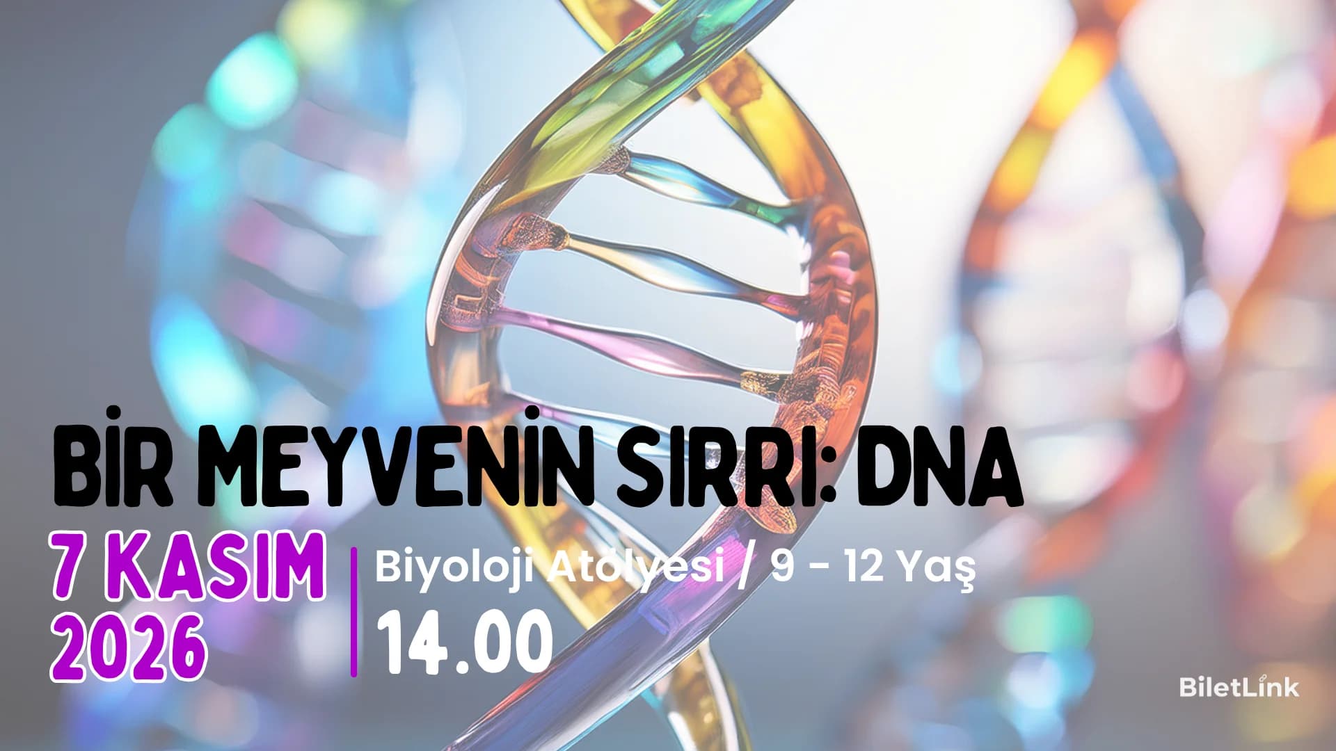 Bir Meyvenin Sırrı : DNA 9-12 Yaş