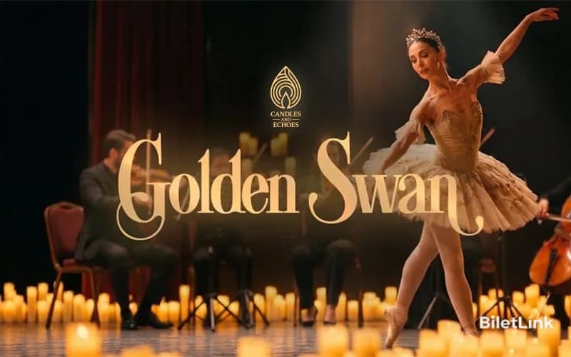Candles and Echoes: Golden Swan