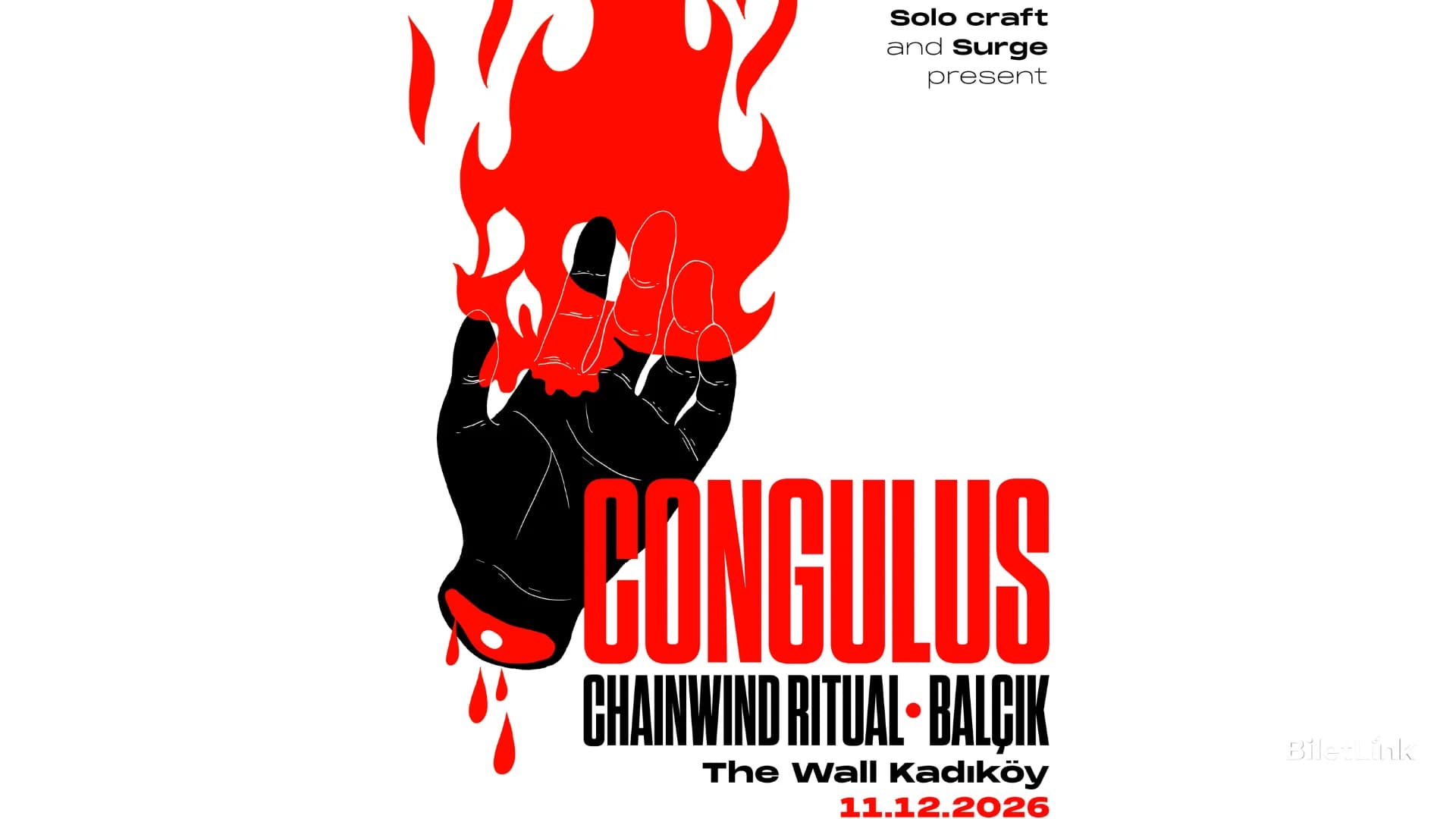 Congulus