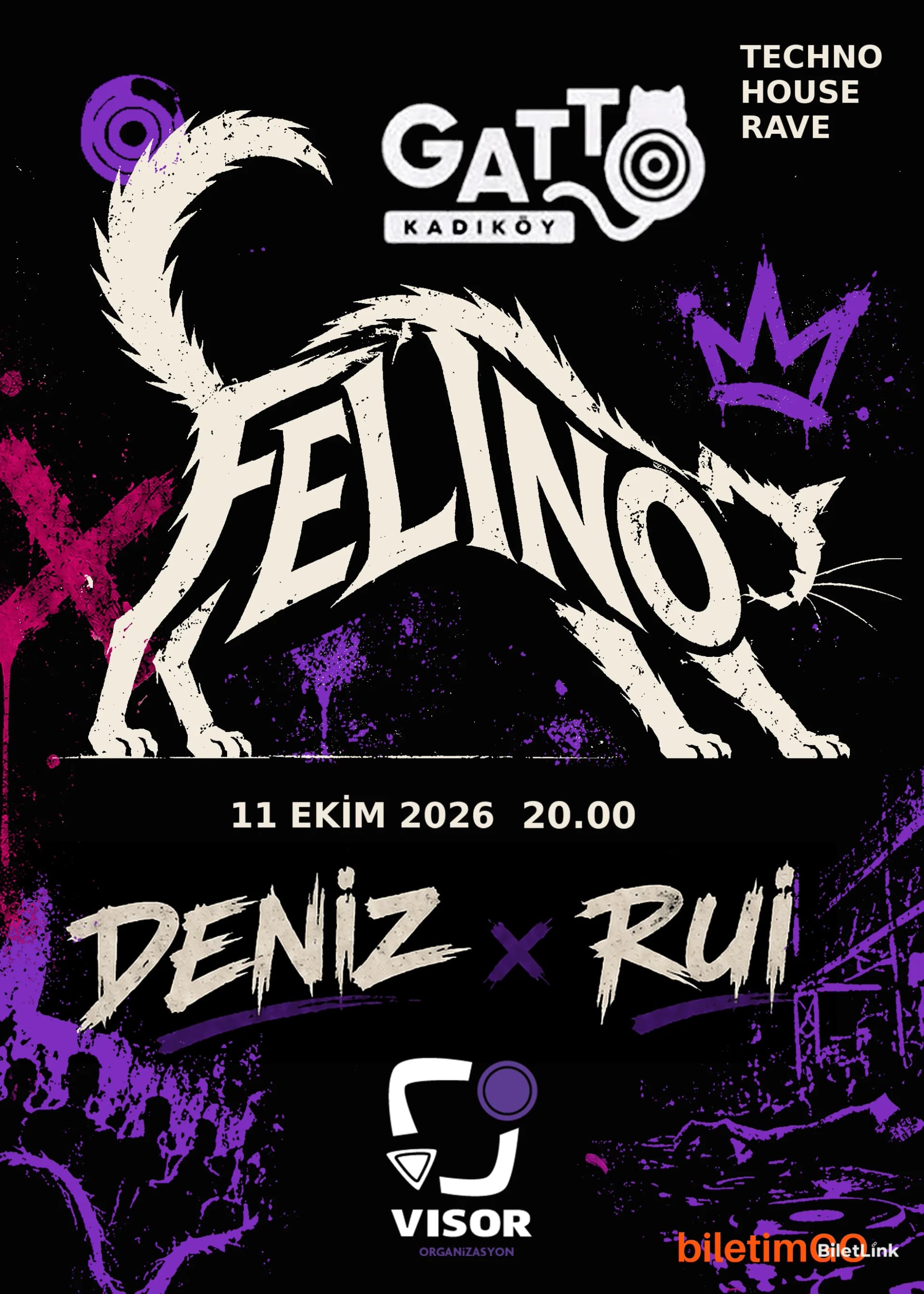 FELINO PARTY