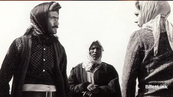 Hudutların Kanunu