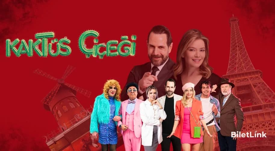 Kaktüs Çiçeği
