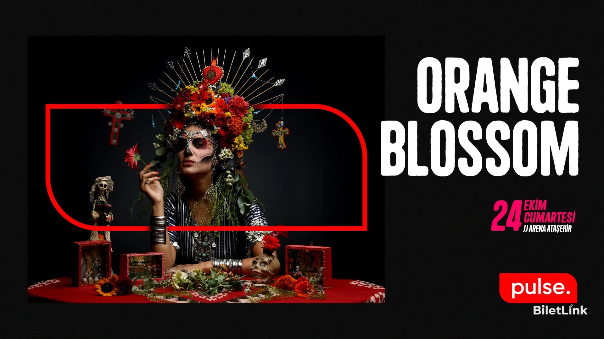 +1 Sunar: Orange Blossom