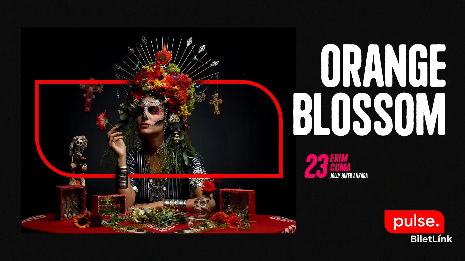 +1 Sunar: Orange Blossom
