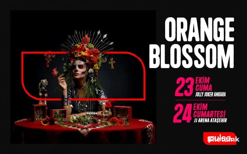Orange Blossom