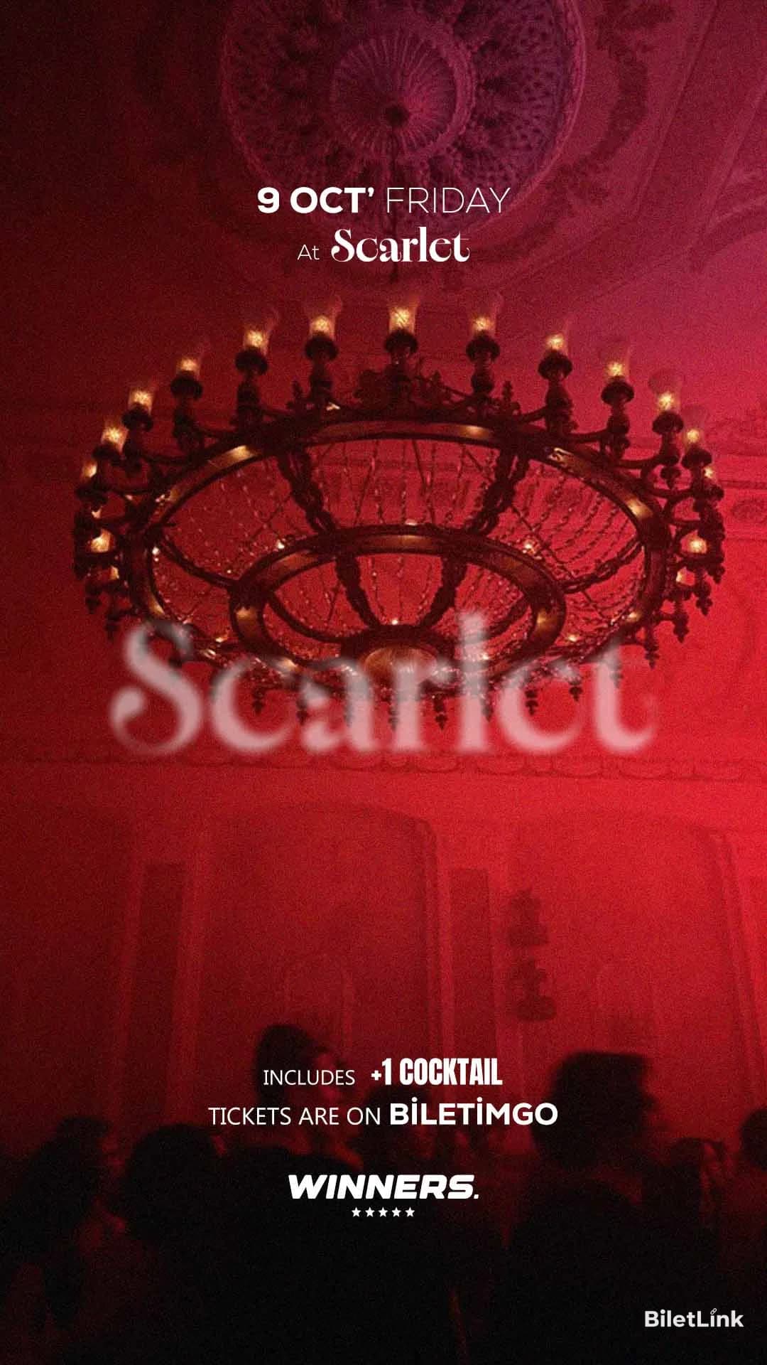 SCARLET NIGHTS p3