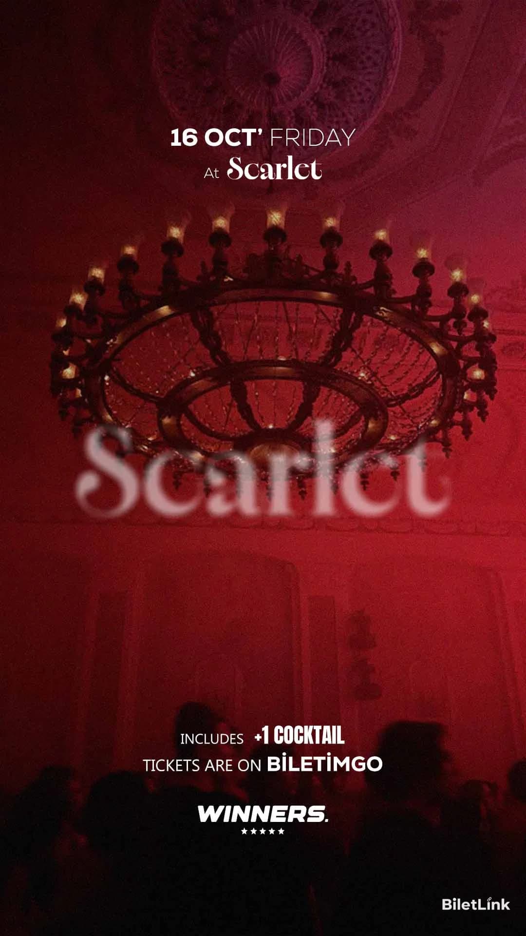 SCARLET NIGHTS p4