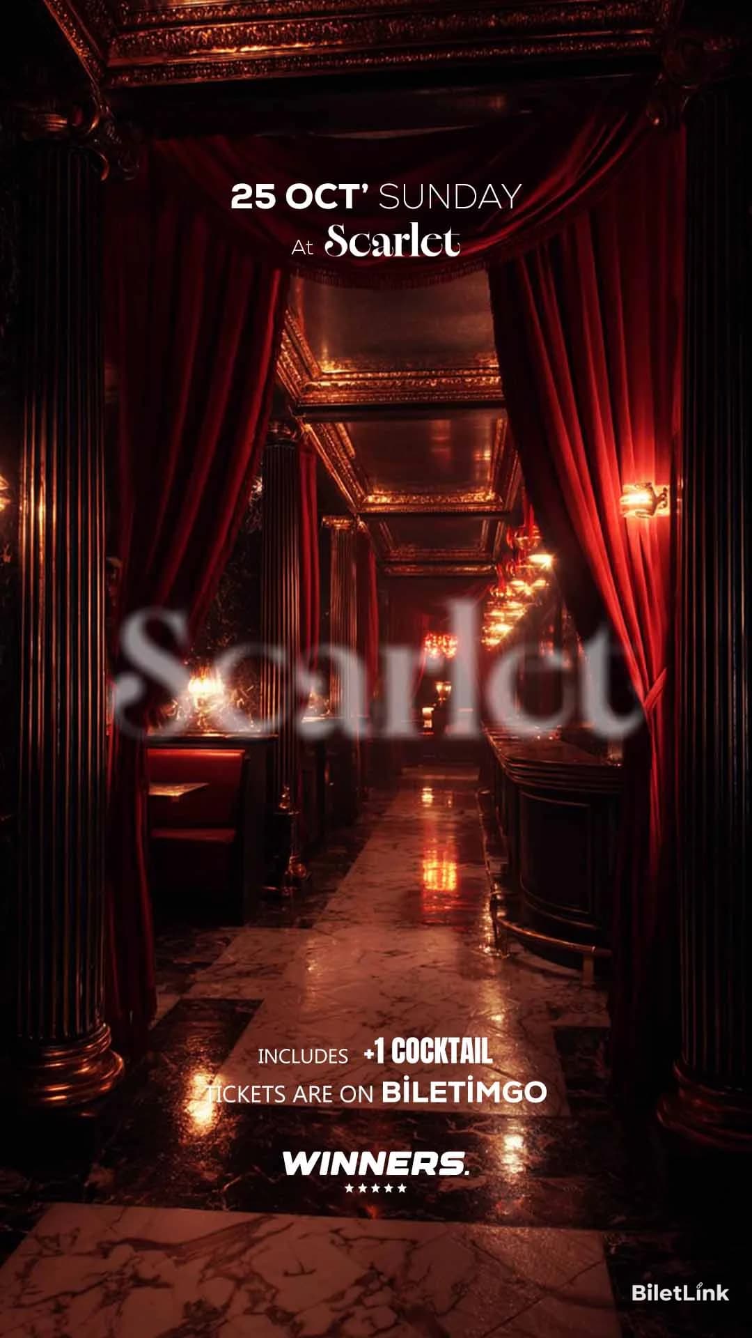 Sunday Party at SCARLET