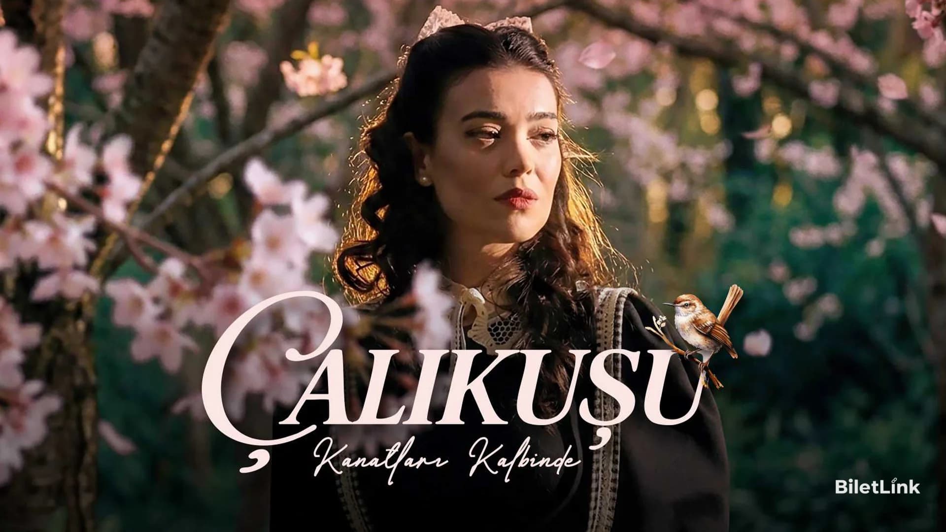 Çalıkuşu - Kanatların Kalbinde