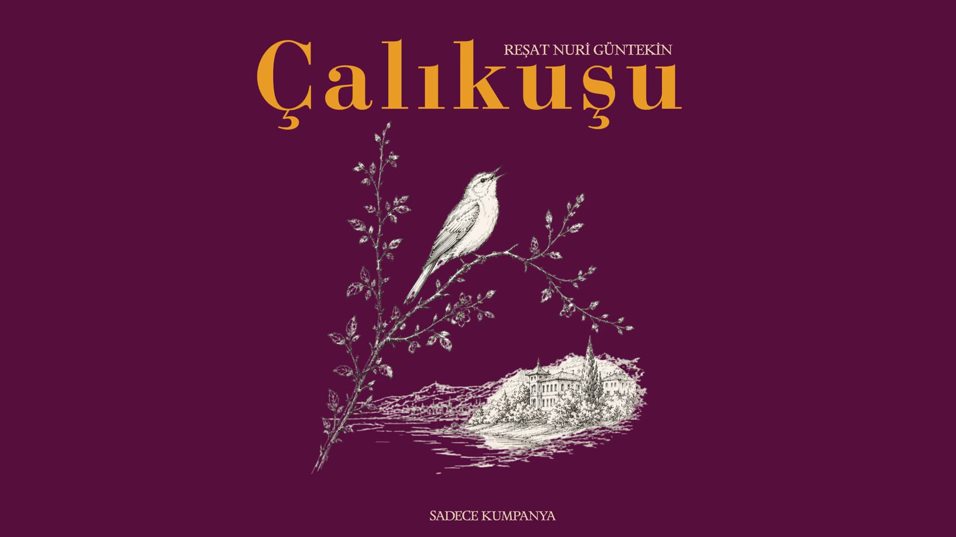 Çalıkuşu