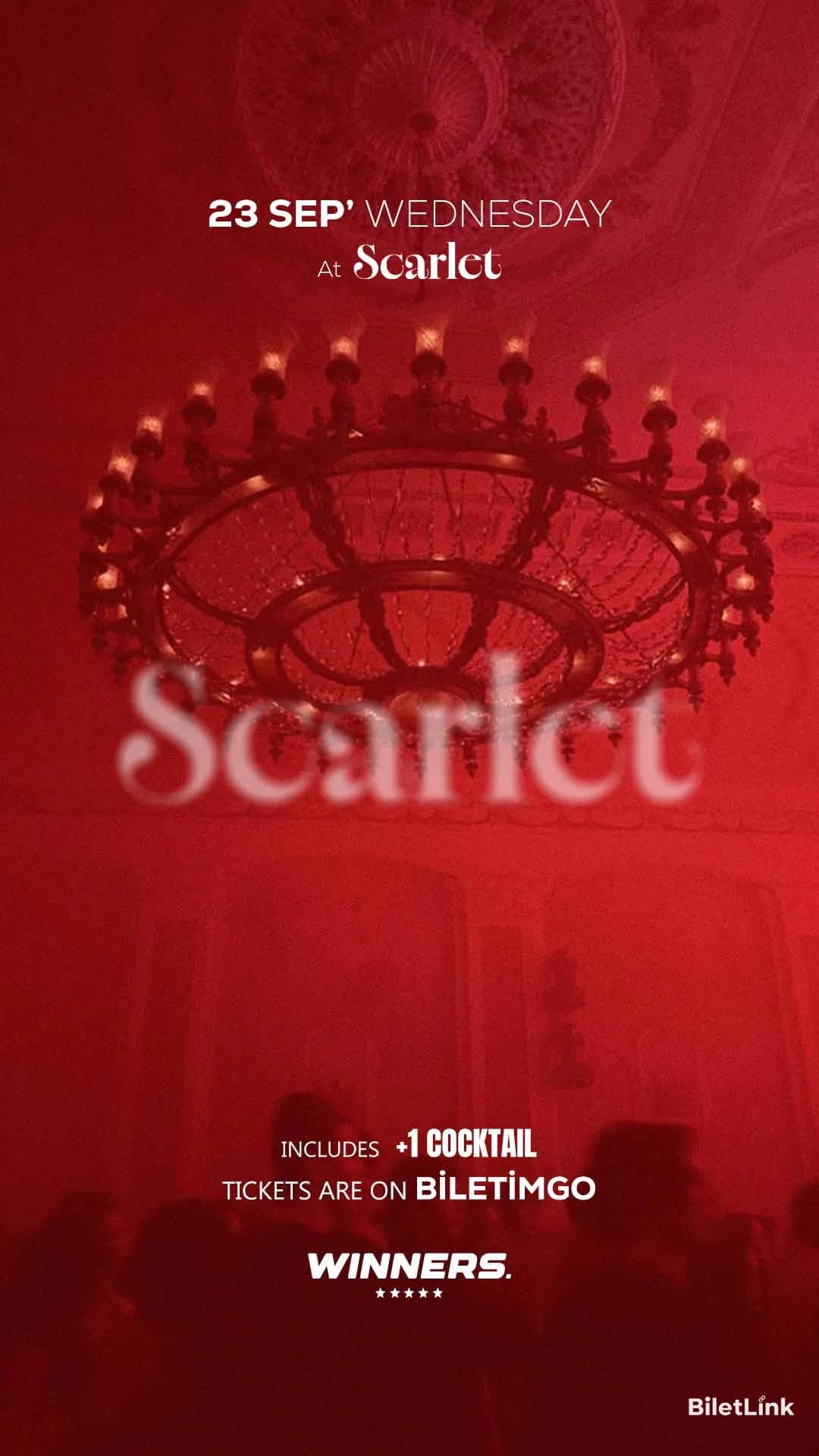 Wednesday Party At SCARLET