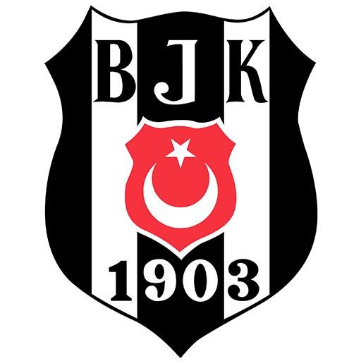 Besiktas Basketbol - Çayirova
