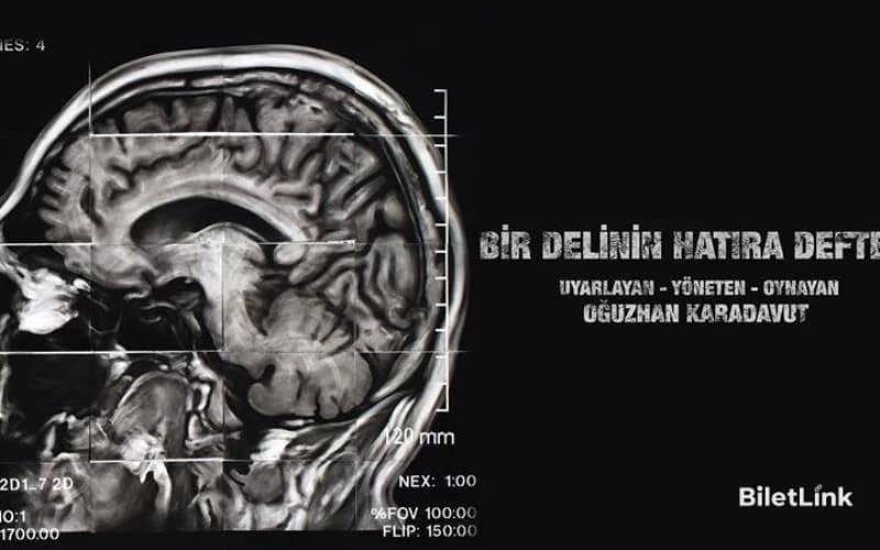 Bir Delinin Hatıra Defteri - Oğuzhan Karadavut