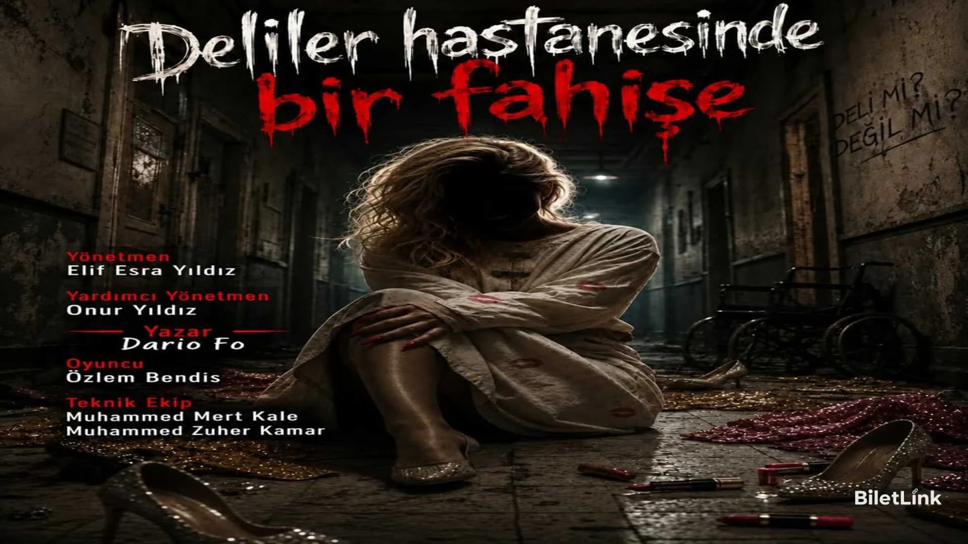 Bir Fahişenin Akıl Hastanesindeki Günlüğü
