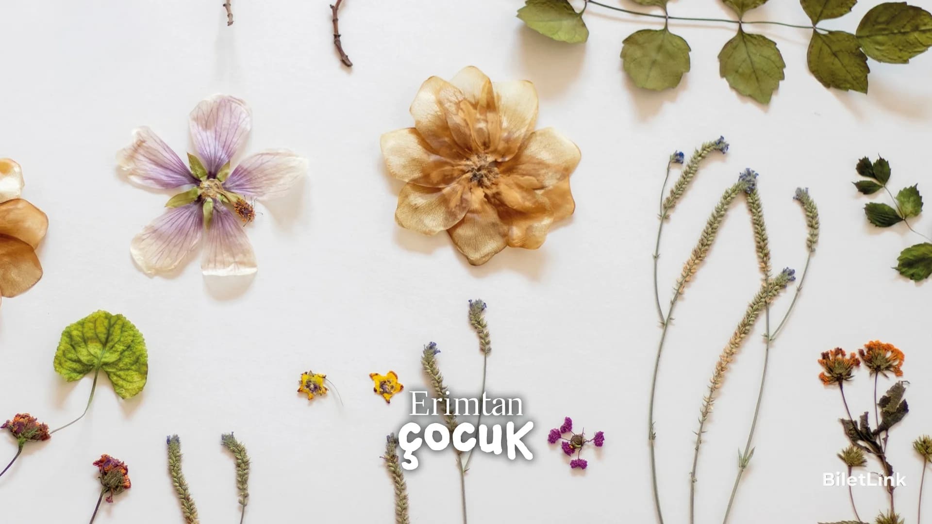 BOTANICA: Anadolu’nun Bitkileri Sergisi Kapsamında - Aile Atölyesi - Herbaryum Atölyesi (4-6 Yaş)