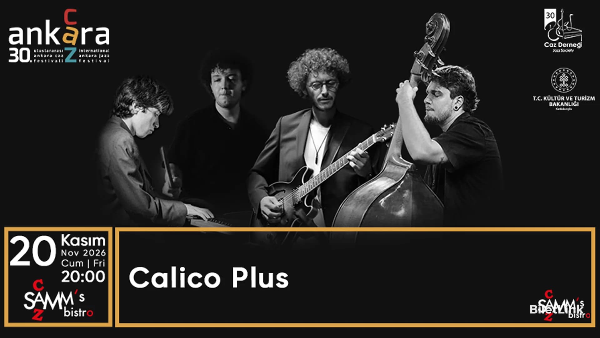 Calico Plus