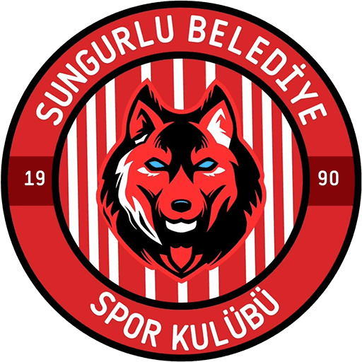 Sungurlu Belediyespor - Galatasaray Volleyball